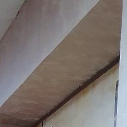 ����, ������, 51 ���