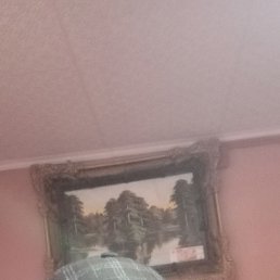 ���� �������, ������, 61 ��� - ��������� 25 ������� 2023