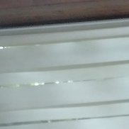 �������, 40 ���, �������