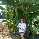 ���� ������, ����������� - ��������� 14 ������� 2025