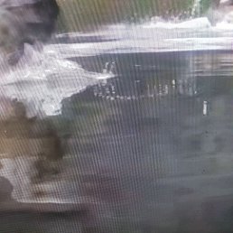 ���� ������, ��������������, 55 ��� - ��������� 14 ������ 2026