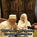 ���� Bek, ���������, 31 ��� - ��������� 11 ��� 2026