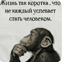 ���� �����, ����, 49 ��� - ��������� 8 ����� 2026