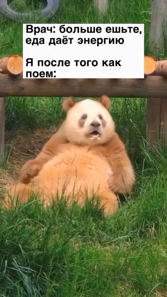 �����, � ��� �������?! - 2