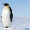 ���� �������, ����, 32 ���� - ��������� 11 ������� 2023 � ������ ���� ����������