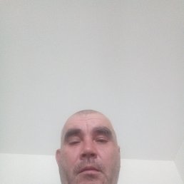 , 50, 