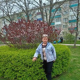 , 53, 