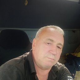, 52, 