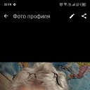 ���� �����, ���, 65 ��� - ��������� 15 ������� 2024 � ������ ���� ����������
