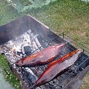 ���� �������, ������, 67 ��� - ��������� 22 ���� 2024 � ������ ���� ����������