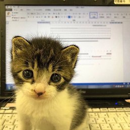 �����, ������, 22 ����