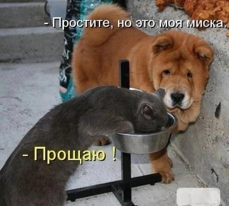   - 28  2023  22:44