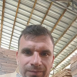 , 39, 