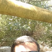 ������, 45 ���, ������