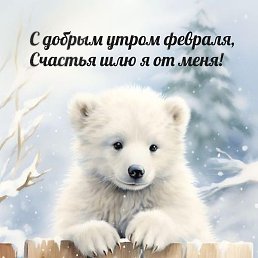 , , 46 