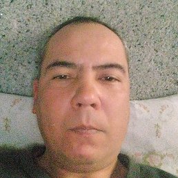 ���� ��������, �����, 44 ����