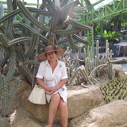 �������, ������, 67 ���