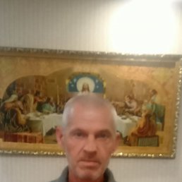 , 37, 