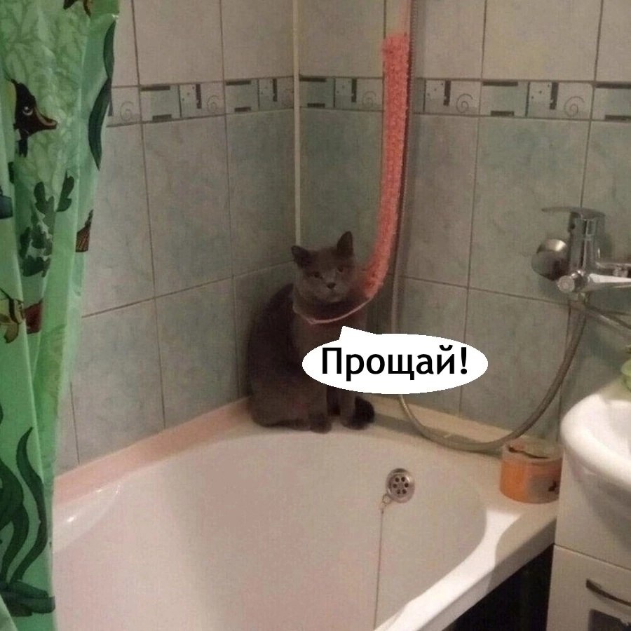  . - 5