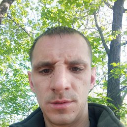 , 29, 