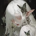  , , 22  -  21  2024