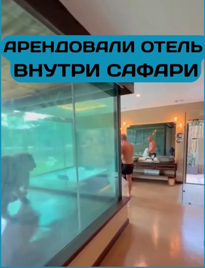 Каково это — проснуться под рев льва и увидеть жирафа за окном? Отель Mara River Safari Lodge на ... - 2