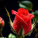 ���� �������, ������� - ��������� 31 ������� 2025 � ������ ���� ����������