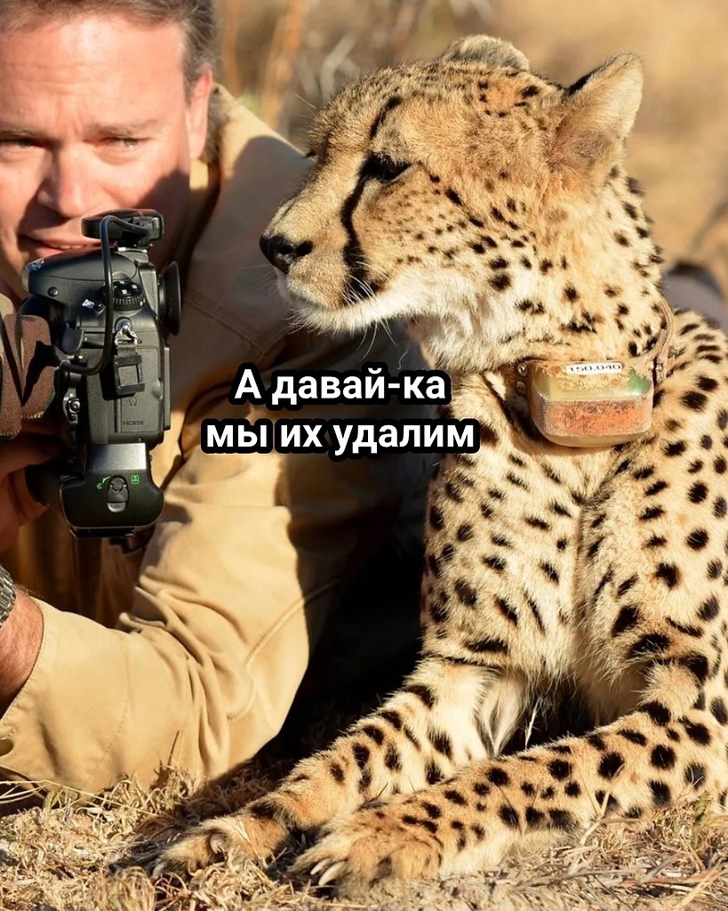  - 7