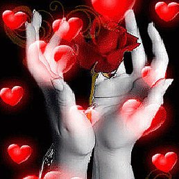 ��������, ����, 44 ����