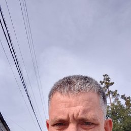 , 42, 
