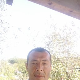 , 34 , 