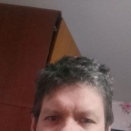 ������, 41 ���, �����