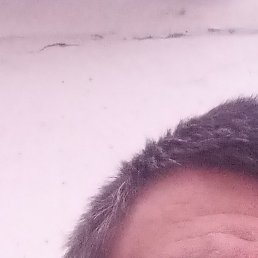 ����, ���������, 41 ���