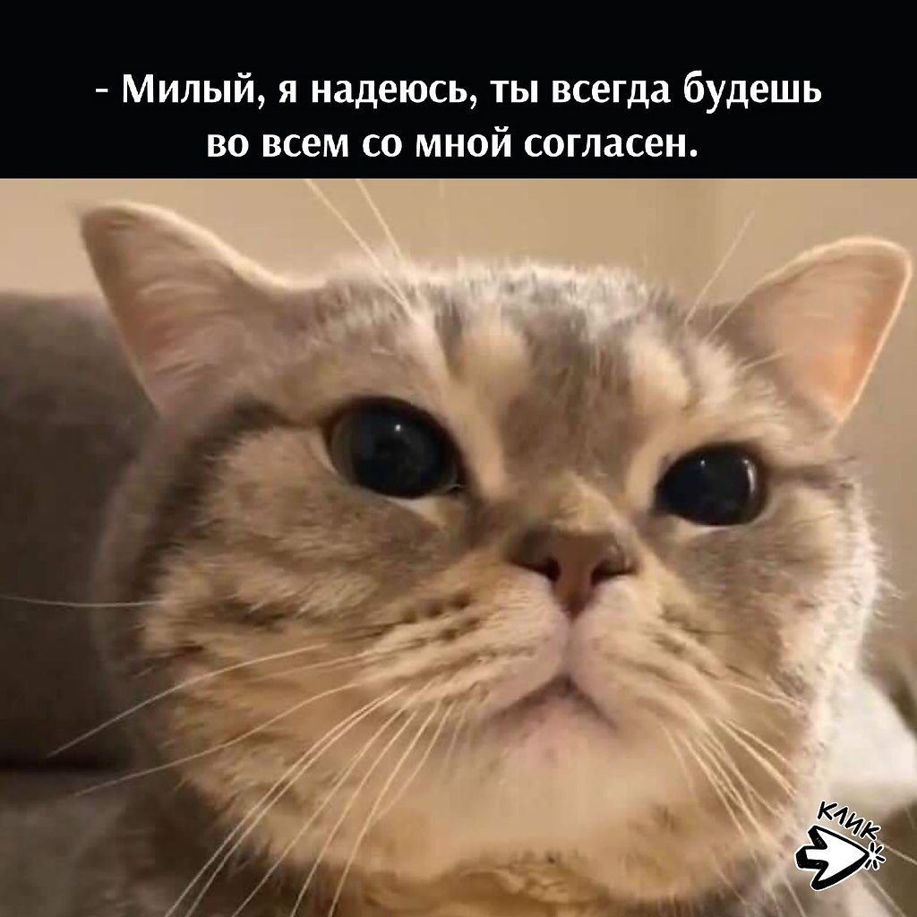 ��� ���� � ����� �� �� - 18 ������� 2025 � 11:03