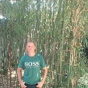 ���� ��������, �����������, 47 ��� - ��������� 29 ������ 2026
