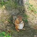 ���� ������, �����-���������, 48 ��� - ��������� 25 ������� 2026 � ������ ���� ����������