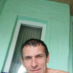 ��������, 41 ���, �����������