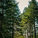 ���� �����, ������, 36 ��� - ��������� 2 �������� 2024 � ������ ���� ����������