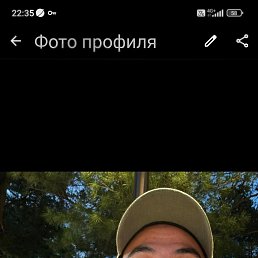 , 40, 