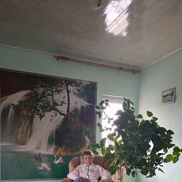 , , 41 
