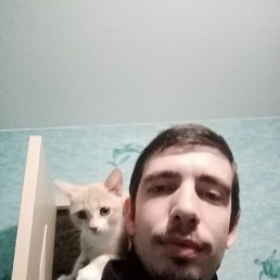 , 37, 