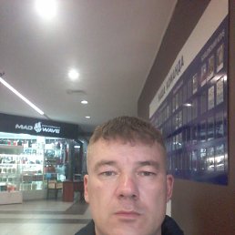 ����, 40 ���, ���������