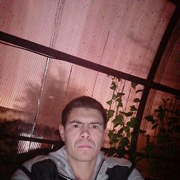 , 37, 