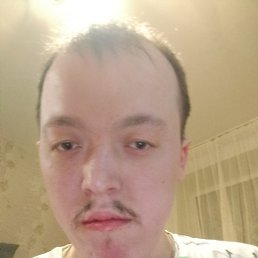 ������, 37 ���, �����