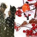 ���� ������, ������ - ��������� 12 ������� 2023 � ������ ������ ��������