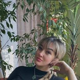 ���� ��������, ������, 44 ���� - ��������� 29 ������ 2026