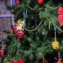 ���� �������, ���������, 62 ���� - ��������� 27 ������� 2025 � ������ ���� ����������