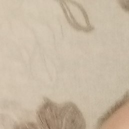 ������, ���������, 50 ���