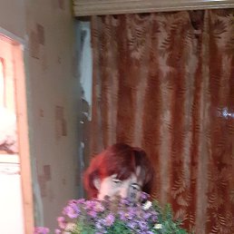 ������, ������, 46 ���