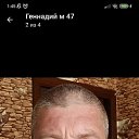 ���� ��������, �������, 49 ��� - ��������� 17 ��� 2024 � ������ ���� ����������